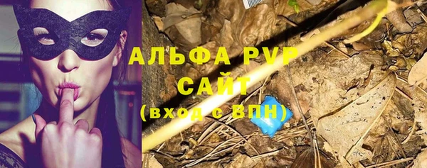 2c-b Белокуриха